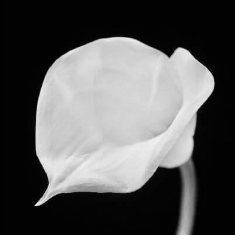 Meet your Posher, G. d.